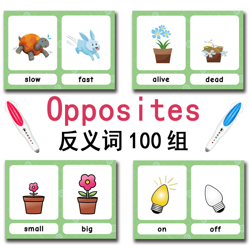 The 100 Groups Opposites Flash - Board Game Education ulasan dan harga